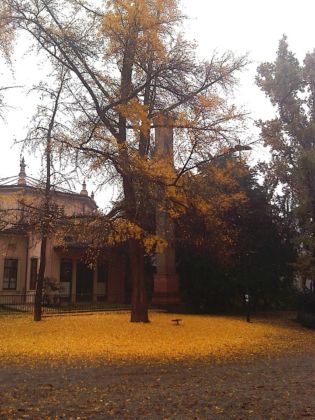 Giardini pubblici a Milano. Foliage del Ginko Biloba. Photo Claudia Zanfi