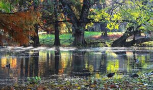 Giardini e orti botanici d’Italia. Breve storia dei Giardini Pubblici Indro Montanelli di Milano