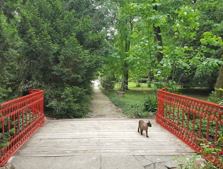 Il Parco di Villa Verdi