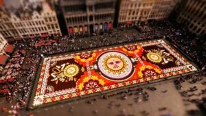 Flower Power. Un time-lapse della famosa infiorata di Bruxelles