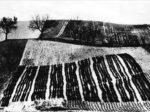 Mario Giacomelli, Paesaggio Mondo, Synesthesia Festival 2020