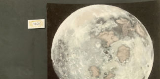 Nobilis Golden Moon storyboard tecnica mista 2020
