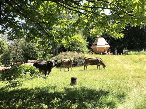 Una Capanna nel Bosco ovvero come abitare il pianeta con passo leggero, reversibile, condiviso