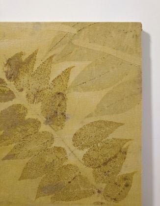 Francesco Fossati e Famiglia, Ailanto Giallo, 2020, ecoprint su lino e telaio in legno di recupero, 55x85 cm, particolare. Courtesy Porto Museo di Tricase