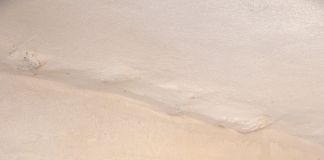 Iginio Iurilli, Riccio nero con tessera di mosaico blu, 2019. Tempera su legno bambù su base a specchio, cm 40x40x20. Photo Angelo Perrini