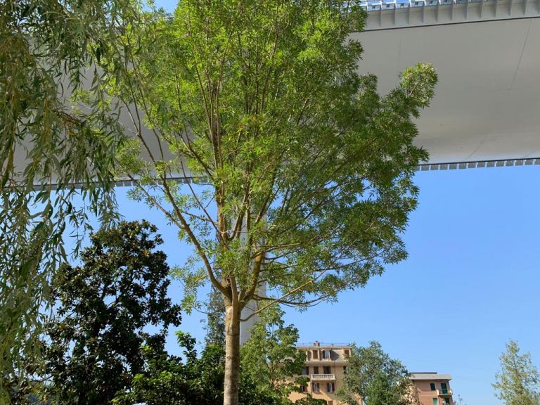 Luca Vitone, La Radura della Memoria, Parco del polcevera, Genova