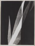 Luigi Veronesi, Senza titolo, 1932. Mart, Museo di arte moderna e contemporanea di Trento e Rovereto Collezione VAF Stiftung