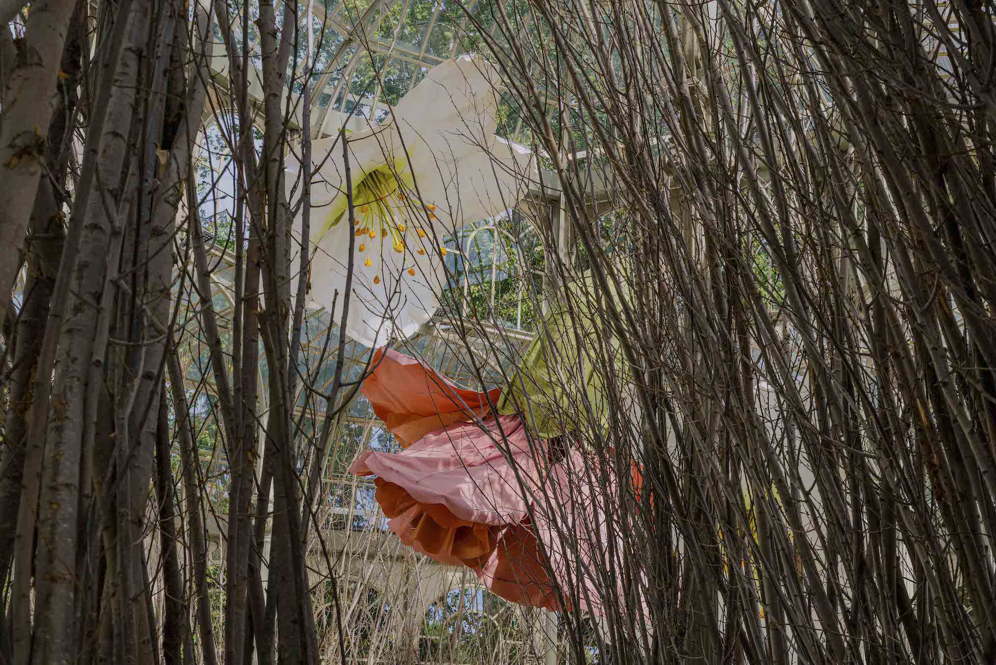 Detalle de la exposicion de Petrit Halilaj, A un cuervo y los huracanes que, desde lugares desconocidos, traen de vuelta olores de humanos enamorados. Palacio de Cristal, 2020 Museo Nacional Centro de Arte Reina Sofia Fotografia ImagenSubliminal (Miguel de Guzmán y Rocío Romero)