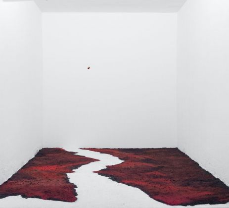 Sophie Ko, San Martino, 2018, terra, pigmento puro, farfalla. The Open Box, Milano
