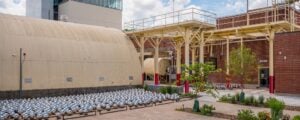 Non solo Infinite Rooms: le storiche sfere di Yayoi Kusama ora installate in un museo in Arkansas