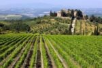 Tenuta Frescobaldi a CastelGiocondo