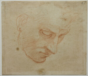 Palazzo Ducale di Genova dedica una mostra al “divino artista” Michelangelo Buonarroti