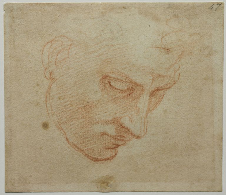Michelangelo Buonarroti Studio di testa per la Volta della Sistina, 1509-1510 matita rossa, mm 127 x 143 Firenze, Casa Buonarroti, inv. 47 F