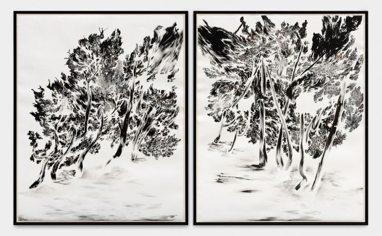 Abdelkader Benchamma, Trees of Miracle – Rorschach, 2020 © Courtesy Templon, Parigi Brussels