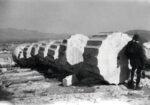 Charles-Édouard Jeanneret detto Le Corbusier sull’Acropoli di Atene, vicino a una colonna rovesciata del Partenone, settembre 1911 © FLC ADAGP