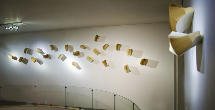 Daniele Papuli, Librivisionomie, 2012 13. Installation view at Fondazione per l'Arte e le Neuroscienze F. Sticchi, Maglie 2020