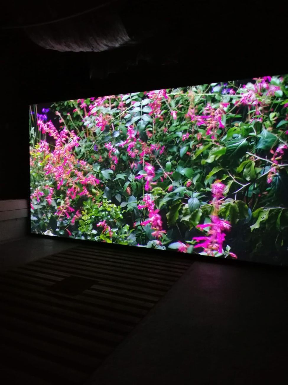 Davide Quayola, Jardins d'été, 2016 © 2020 Quayola. ArteSella. Photo Maddalena Ghiara