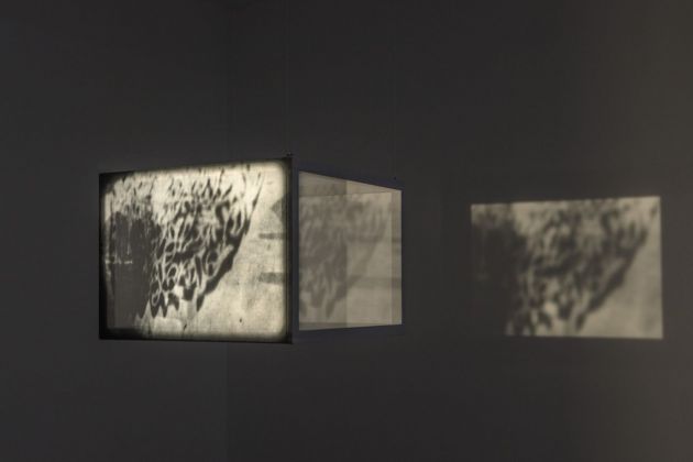 Raha Raissnia. Marta Cervera Gallery, Madrid 2020