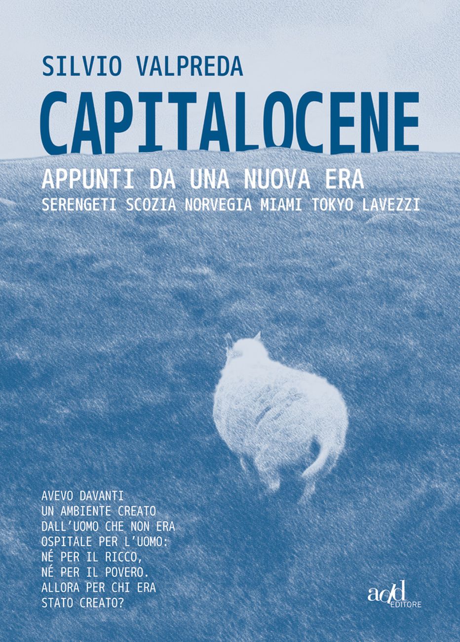 Silvio Valpreda – Capitalocene (ADD Editore, Torino 2020)