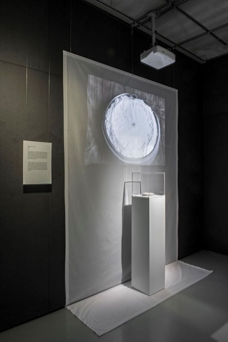 Time Matters. Exhibition view at Cube Design Museum, Kerkrade 2020. Photo Ruud Balk