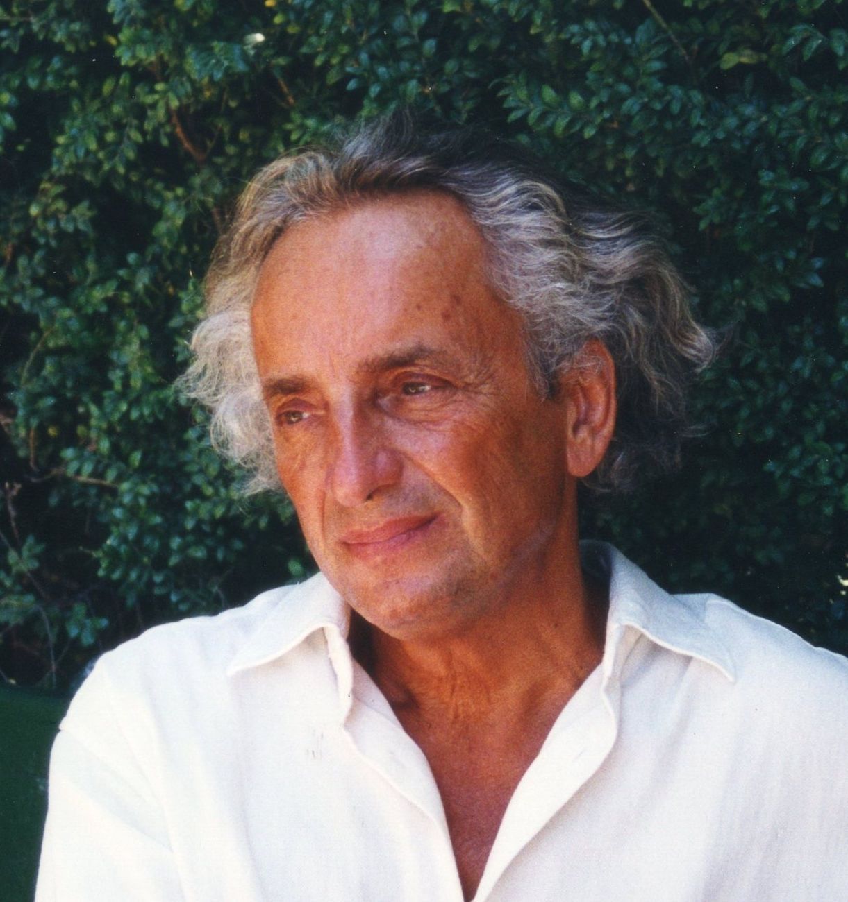 Vittorio Mazzucconi, 1994
