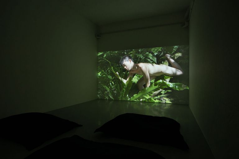 Zheng Bo, The Soft and Weak Are Companions of Life 柔弱者生之徒, 2020. Installation view with Pteridophilia 1 (2016). Video (4K, color, sound). Installation view at Kunsthalle Lissabon. Photo Bruno Lopes