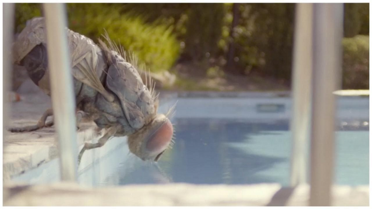 Mandibules, Quentin Dupieux, Venezia 77