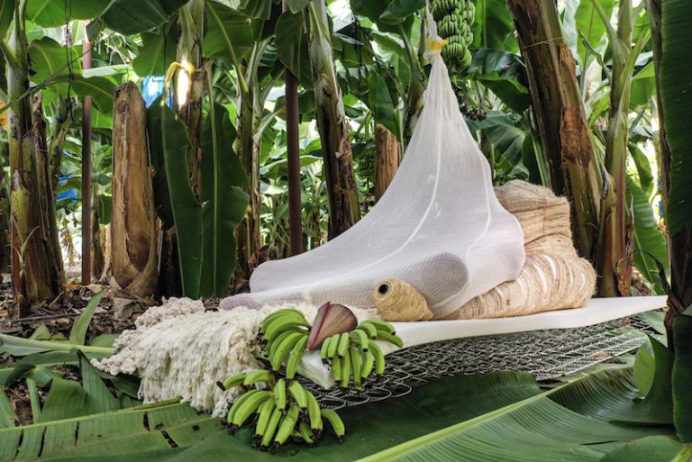 Tropical Milano. La video-installazione del designer Erez Nevi Pana