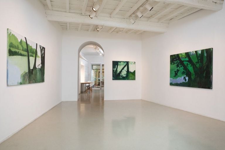 Alessandra Giovannoni. Verde Tevere. Exhibition view at Francesca Antonini Arte Contemporanea, Torino 2020