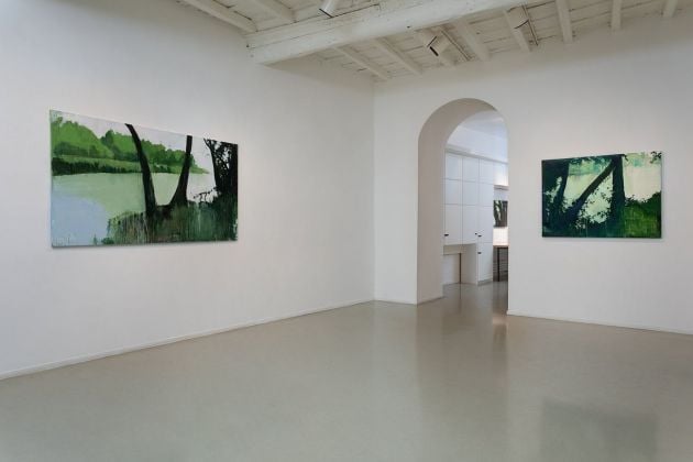 Alessandra Giovannoni. Verde Tevere. Exhibition view at Francesca Antonini Arte Contemporanea, Torino 2020