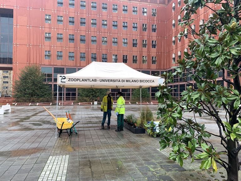 Depavimentazione Campus Bicocca, photo Claudia Zanfi