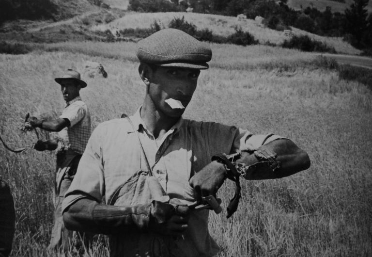 Frank Cancian, Lacedonia (Le campagne), 1957