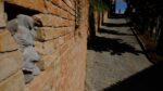 Hilario Isola, I dormienti, Guarene, 2020, particolare
