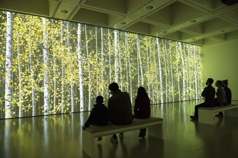 Jennifer Steinkamp, Blind Eye, 1, 2018, installation view at Hayward Gallery, Londra 2020 © Jennifer Steinkamp 2020. Courtesy of Hayward Gallery. Photo Linda Nylind