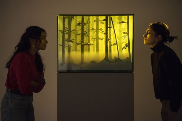 Mariele Neudecker, And Then the World Changed Colour. Breathing Yellow, 2019 © Mariele Neudecker 2020. Courtesy of Hayward Gallery. Photo Linda Nylind