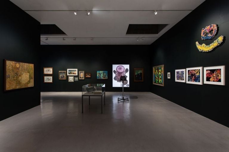 The Botanical Mind. Art, Mysticism and The Cosmic Tree. Installation view at Camden Art Centre, Londra 2020. Photo Rob Harris