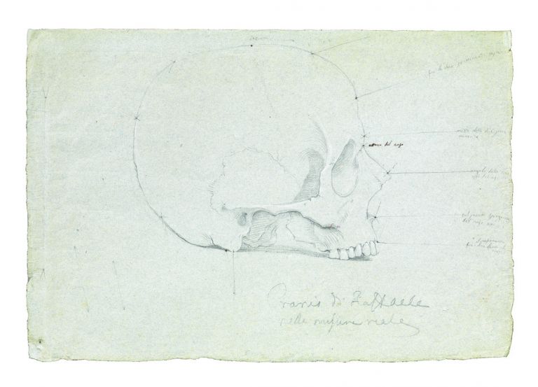 Tommaso Minardi, Cranio di Raffaello, 1833 Roma, Accademia Nazionale di San Luca