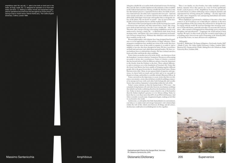 Vesper. Rivista di architettura, arti e teoria _ Journal of Architecture, Arts & Theory, n. 1, Supervenice, autunno inverno 2019