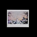 Carolina Sandretto, salla serie External Memories, 2020, libro d’artista. Courtesy l’artista & Galleria DIP Contemporary Art, Lugano