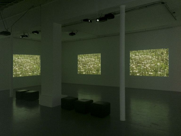 Michael Snow, Video Fields, 2002 2015. Video projections, video on monitor, loudspeaker. Variable dimensions