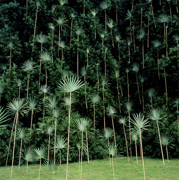 Premio BNL a Mia Photo Fair: vince il tedesco Nils-Udo