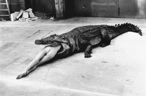 Helmut Newton, the Bad and the Beautiful