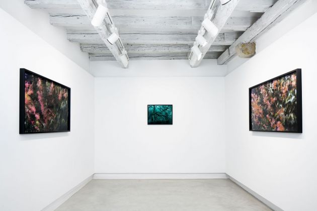 Oltrenatura. Exhibition view at Marignana Arte, Venezia 2020