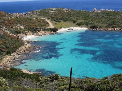 Cala_Sabina,_Isola_Asinara, ph dirk hartung, fonte Wikipedia