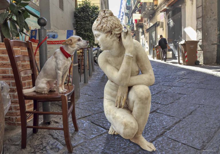 Fuga dal Museo, Cane che annusa, MANN Napoli