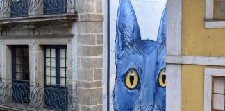 Liqen, Perspéntico, Porto, 2018. Courtesy l'artista