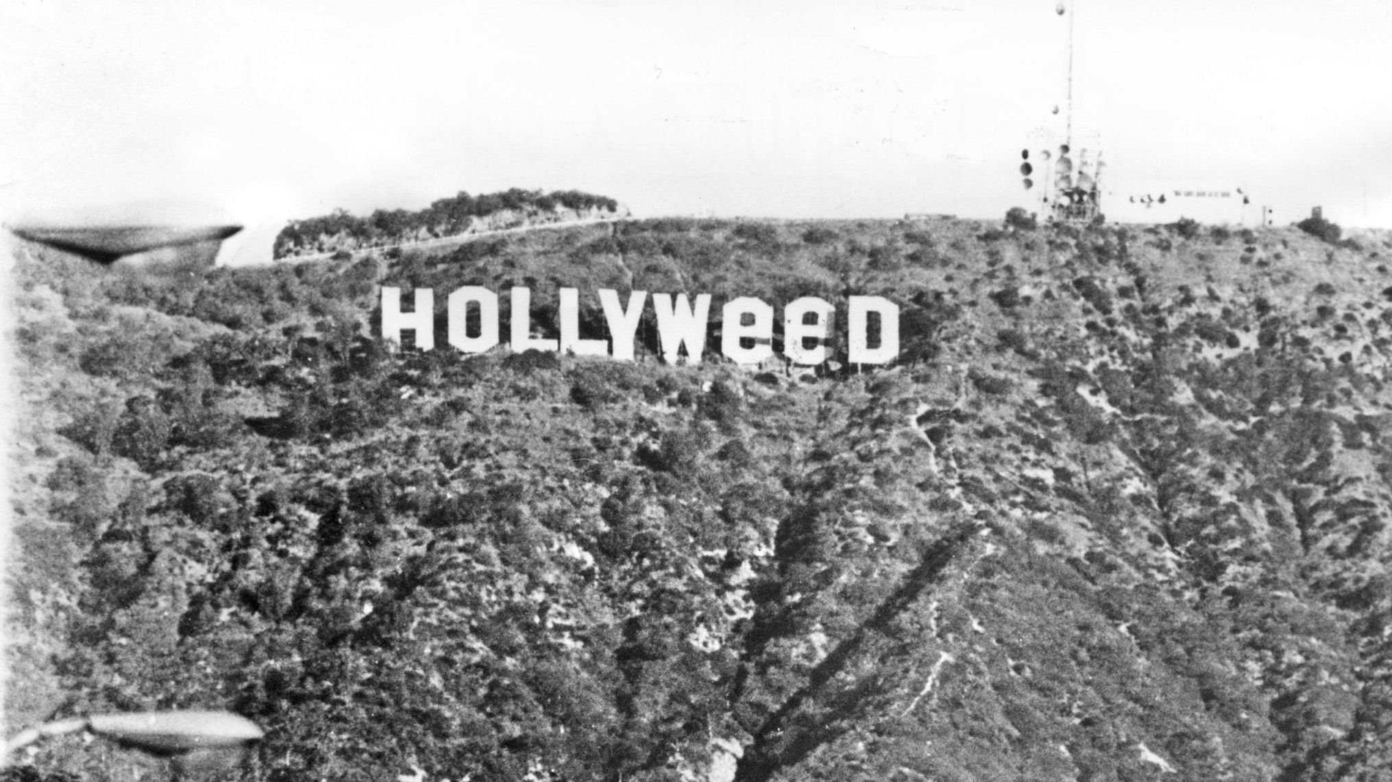 The Most Famous Artist - Hollyweed