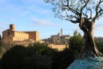 Andrea Roggi, Terra Mater, Siena