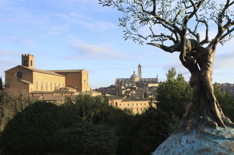 Andrea Roggi, Terra Mater, Siena