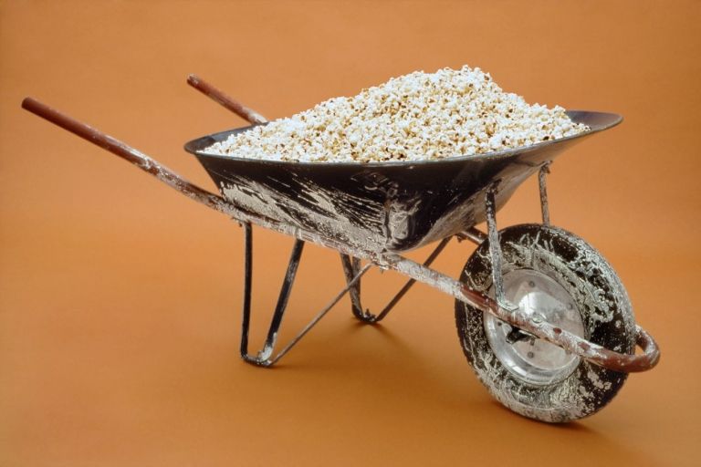 Gabriel Kuri, Wheelbarrow and pop corn, 1999. Courtesy l'artista & kurimanzutto, Città del Messico